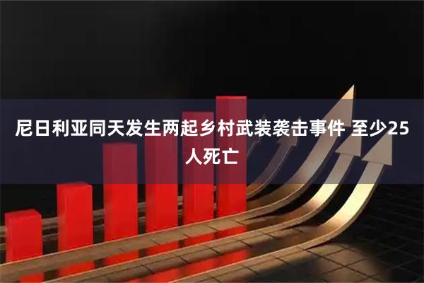 尼日利亚同天发生两起乡村武装袭击事件 至少25人死亡