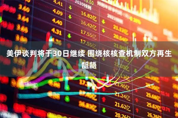 美伊谈判将于30日继续 围绕核核查机制双方再生龃龉